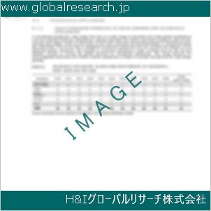グローバルリサーチ調査資料のイメージ